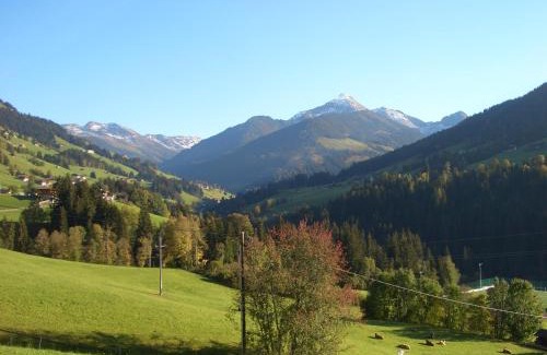 Alpbach Hotel | Hotel Andreas: Family-Friendly Stay with Delicious Breakfast