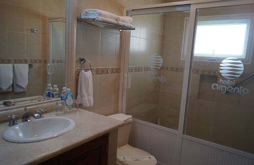 Cuernavaca Hotel | Relax at Hotel Argento: Pool, Spa & Family-Friendly Fun