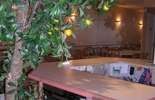 Tours Hotel | Discover Hotel Asteries: Family-Friendly with Breakfast Included