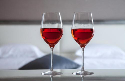 Podgorica Hotel | Hotel Aurel: Exceptional Stay with Spa and Hot Tub Access