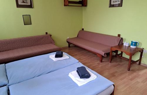 Velky Slavkov Hotel | Discover Hotel Autis: Pet-Friendly Stay with Breakfast