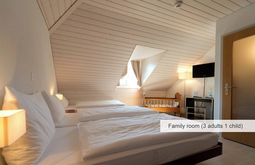 Solothurn Hotel | Discover Bären Self Check-in Hotel with Pool & Spa Access