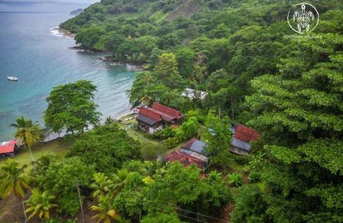 Acandi Hotel | Discover Hotel Bahía Aguacate: Oceanfront Bliss Awaits