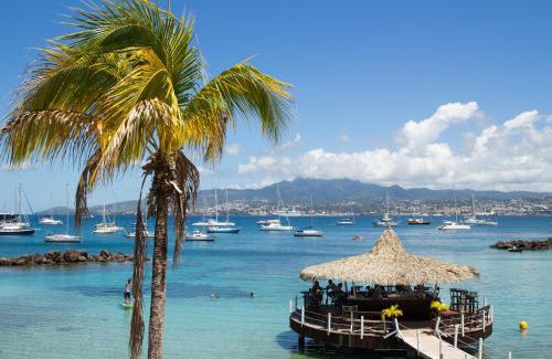 Pointe du Bout Hotel | Relax at Hotel Bakoua Martinique with Ocean Views & Pool