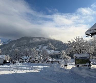 Filzmoos Bed & Breakfast | Hotel Bergglück: Pet-Friendly Retreat with Ocean Views