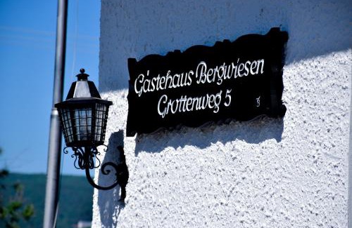 Wombach Hotel | Discover Hotel Bergwiesen: Family-Friendly & Pet Welcoming