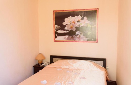 Bugulma Hotel | Budget-Friendly Hotel BEST with Pet-Friendly Amenities