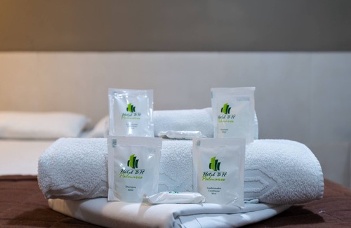 Belo Horizonte Hotel | Comfortable Stay at Hotel BH Inn Palmares - Family Friendly