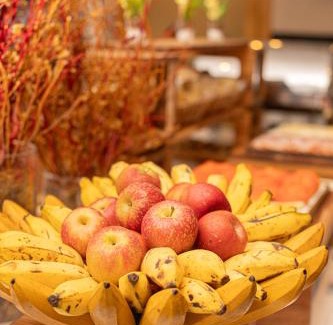 Barro Preto Hotel | Pet-Friendly Hotel BH Palace with Family Amenities