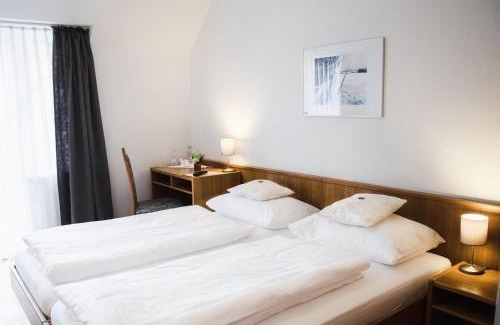 Schongau Hotel | Pet-Friendly Retreat at Hotel Blaue Traube with Breakfast