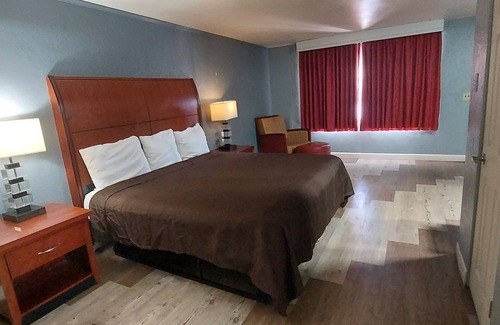 DeLand Hotel | Affordable Family-Friendly Stays at HOTEL BLUE