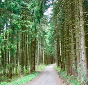 Gemarkung Tailfingen Hotel | Pet-Friendly Getaway at Hotel Blume Post for Families