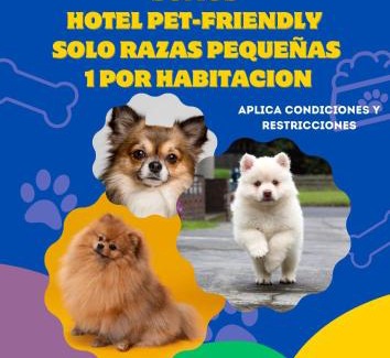 Villa de Leyva Hotel | Relax at Hotel Boutique Iguaque Campestre Spa & Ecolodge