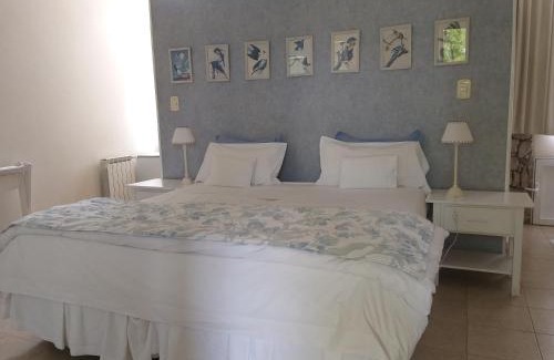 Santa Rosa Hotel | Pet-Friendly Retreat at Hotel Boutique Posada Piedras Blancas
