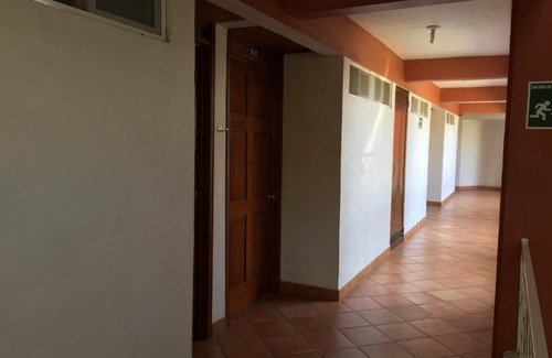 Oaxaca Hotel | Discover Hotel Bugambilias: Pet-Friendly & Child Friendly Stay