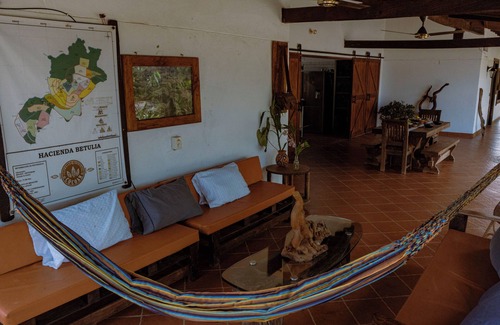 Yolombo Hotel | Hotel Cacaobetulia
