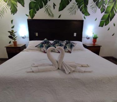 Xilitla Hotel | Discover Hotel CaféNaranja Xilitla: Family-Friendly Retreat