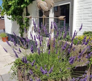 Urmond Hotel | Discover Hotel-Cafe Knoors-Meeks Stein in Urmond