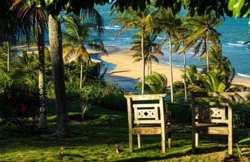 Curuipe Hotel | Oceanfront Hotel Calá & Divino: Pet Friendly Getaway