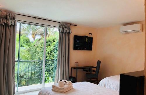 Xilitla Hotel | Enchanting Hotel Camino Surreal Xilitla with Pool & Breakfast