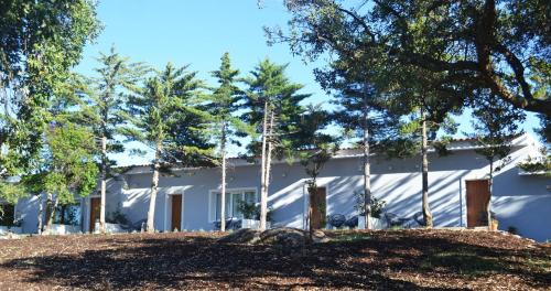 Castelo Branco Hotel | Pet-Friendly Hotel Campo do Rosmaninho with Ocean Views