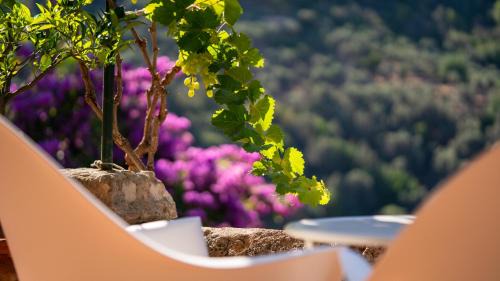 Fornalutx Hotel | Experience Oceanfront Bliss at Hotel Can Verdera