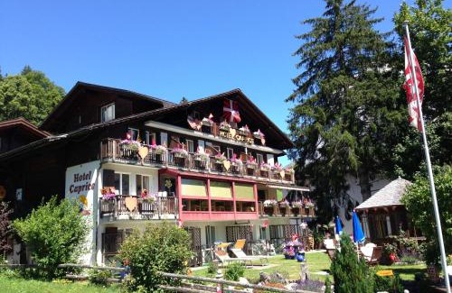 Grindelwald Hotel | Discover Hotel Caprice - Grindelwald with Oceanfront Views