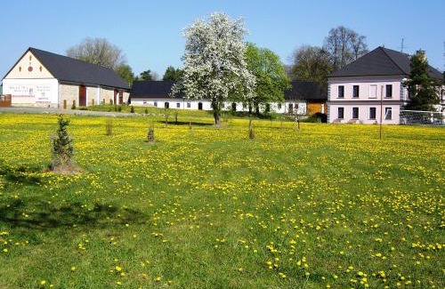 Sepekov Hotel | Welcoming Hotel Castle Mlýn Maděrovka with Pet-Friendly Amenities