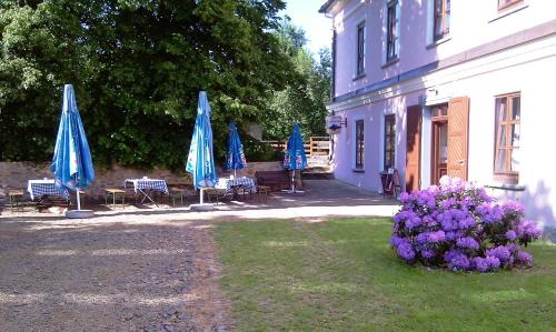 Sepekov Hotel | Welcoming Hotel Castle Mlýn Maděrovka with Pet-Friendly Amenities