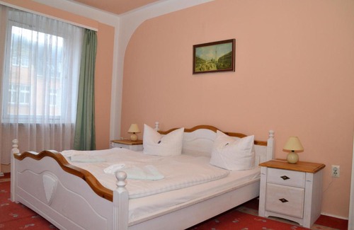 Bad Elster Hotel | Budget-Friendly Hotel Central with Breakfast & Family Amenities