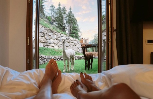 Vermiglio Hotel | Indulge at Hotel Chalet Al Foss: 5-Star Stay with Spa & Pool