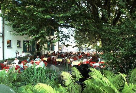 Walenstadt Hotel | Pet-Friendly Hotel Churfirsten with Great Amenities