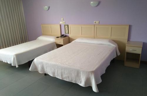 Zaragoza Hotel | Pet-Friendly Hotel Cogullada: Family and Accessibility Focused