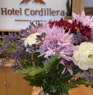 El Bolson Hotel | Hotel Cordillera: Guest Rated 8.9 with Family-Friendly Amenities