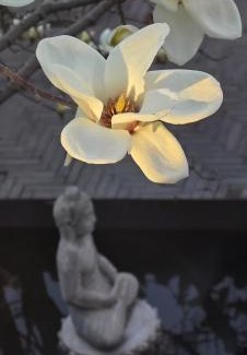 Wangfujing Shopping Area Hotel | Elegant Hotel Cote Cour Beijing: Family-Friendly Retreat