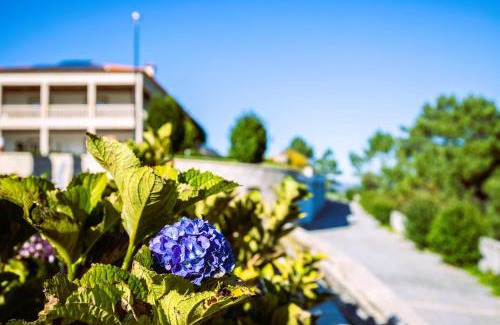 Grovelas Hotel | Discover Hotel Cotto do Gatto: Oceanfront Retreat Rated 9.4