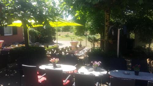 Winterswijk - Brinkheurne Hotel | Pet Friendly Hotel de Lindeboom with Ocean Views & Pool