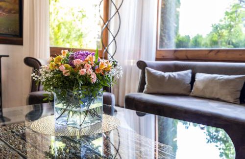 Puigcerda Hotel | Discover Comfort at Hotel del Prado with Ocean View & Spa