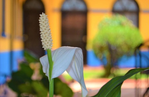 Comitan de Dominguez Hotel | Comfortable Hotel Delfín Comitán with Breakfast Included