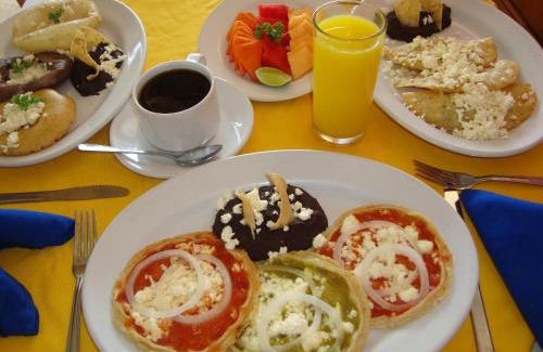 Ricardo Flores Magon Hotel | Welcoming Hotel Delfines: Family-Friendly & Accessible Stay