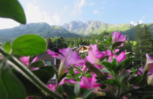 Castione della Presolana Hotel | Discover Hotel Des Alpes: Family-Friendly with Breakfast Included