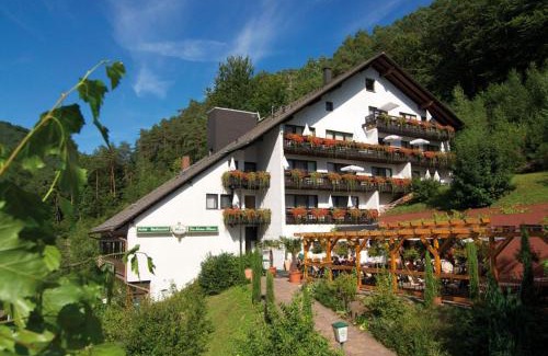Erfweiler Hotel | Discover Comfort at Hotel Die Kleine Blume with Hot Tub