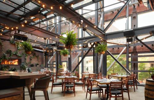 Downtown Louisville Hotel | Pet-Friendly Hotel Distil: 4-Star Stay with Top Amenities