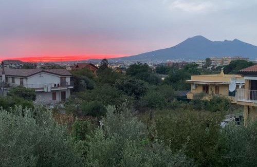 Angri Hotel | Pet-Friendly Comfort at Hotel Due Pini Conte, 8/10 Rating