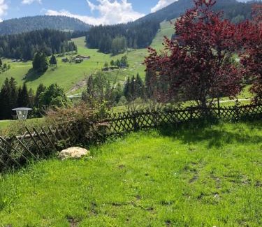 Buerserberg Hotel | Hotel Dunza: Oceanfront Escape with Spa & Pet-Friendly Vibes