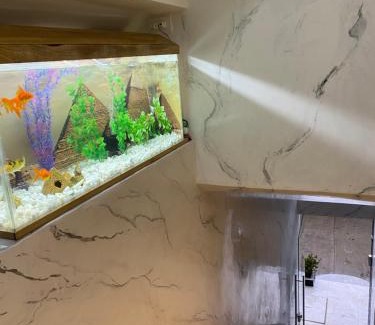 Apartado Hotel | Budget-Friendly Hotel EGIPTO with Breakfast & Family Amenities