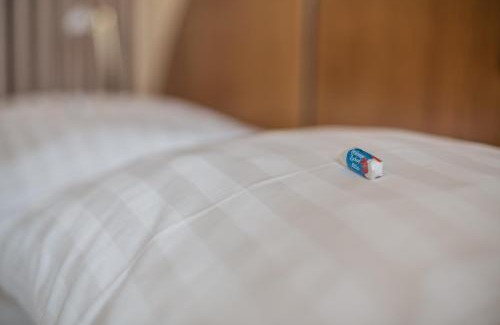 Favoriten Hotel | Discover Hotel Eitljörg: Pet-Friendly & Family Accommodations