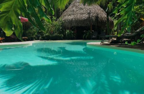 Samara Hotel | Discover Hotel El Pequeño Gecko Verde: Ocean View Oasis
