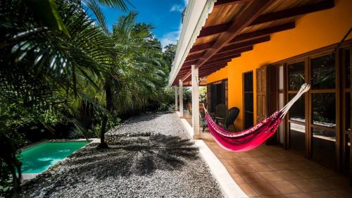 Samara Hotel | Discover Hotel El Pequeño Gecko Verde: Ocean View Oasis