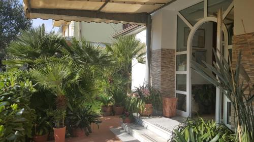 Cinquale Hotel | Pet-Friendly Hotel Elisabetta with Restaurant & Breakfast